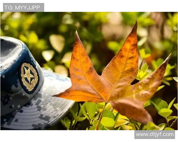 魂牵梦绕热血场，足音激荡激情风