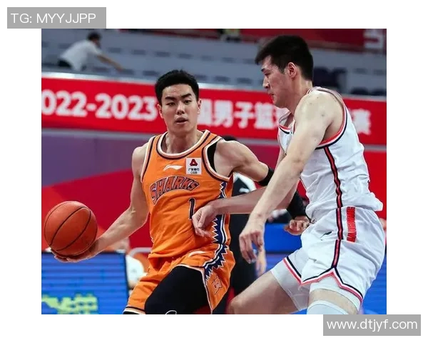 鲨鱼体育俱乐部：风起云涌的运动盛事